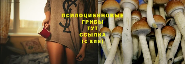 дживик Магас
