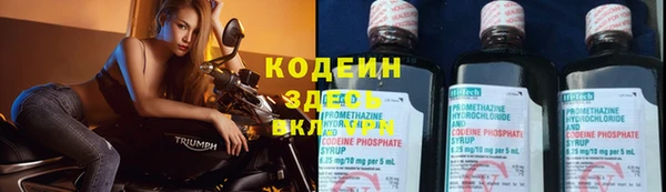 дживик Магас