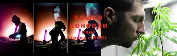 дживик Магас
