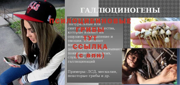 ешки Майский