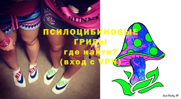 крисы Магадан
