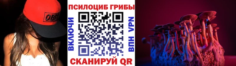 Псилоцибиновые грибы ЛСД  где купить наркоту  Шенкурск 